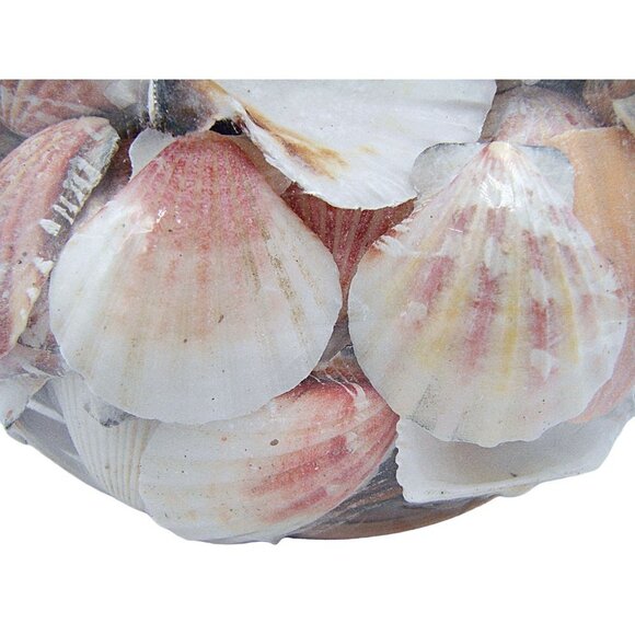 NEW Lot 2 Decorators Choice Seashells Wicker Basket and Bag Nature Decor Crafts - Picture 4 of 7